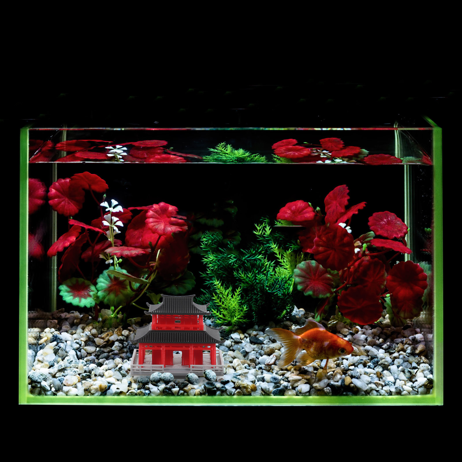 Chinese Ancient Pavilion Black - Aquarium & Marine Museum 评论和价格