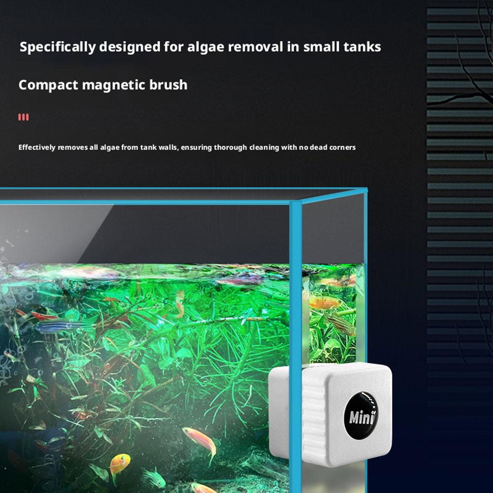 Magnetic Aquarium Glass Cleane - Marine Aquarium Glass Scraper 评论和价格