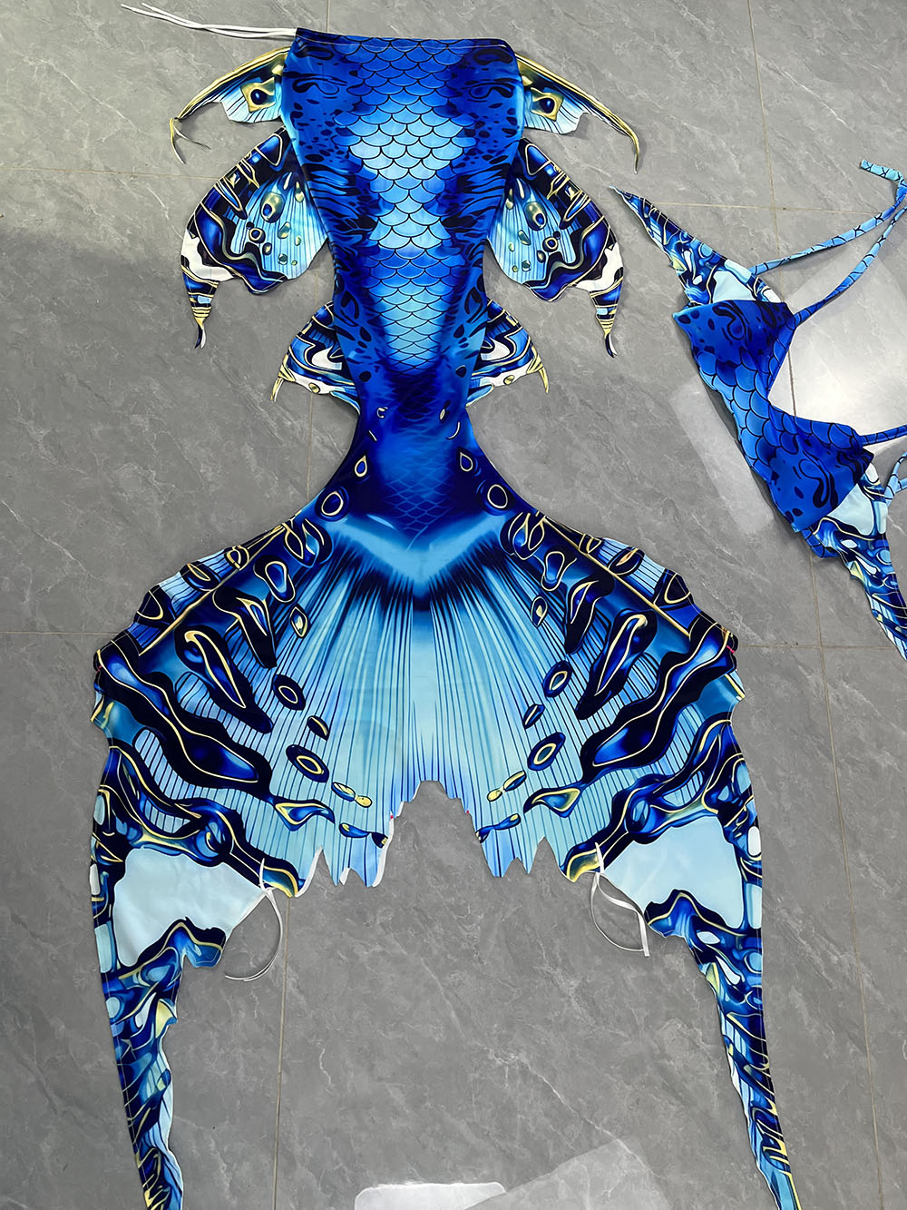 Colorful Dreamy Mermaid Tail A - Aquarium & Marine Museum 评论和价格