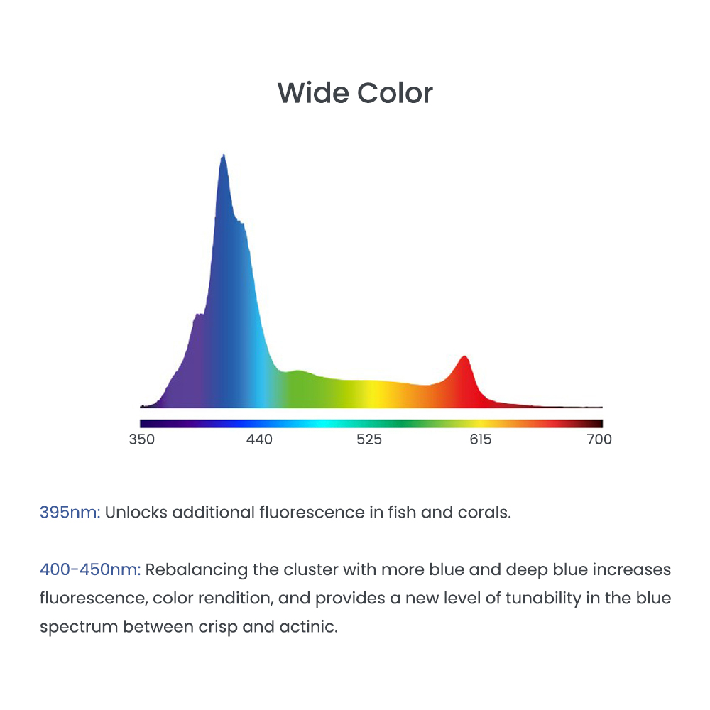 A8 Se II Max and Blue 240W LED - Aquarium Blue Marine 评论和价格