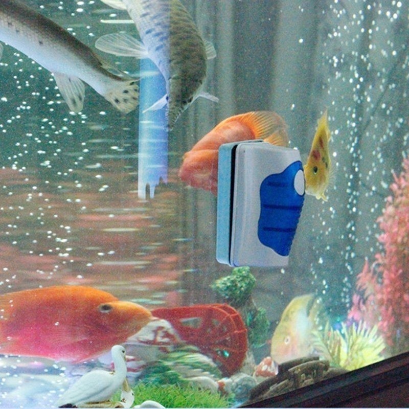 Fish Tank Glass Scraper Cleane - Marine Aquarium Glass Scraper 评论和价格