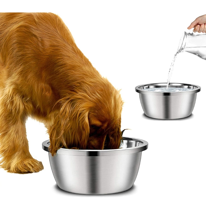 A Stainless Steel Dog Feeders  - Royal Canin Food Medium 评论和价格